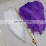 Wholesale South Africa Ostrich Feathers for Decoration Wedding Ostrich Feathers thumbnail-3