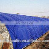 Blue/Orange or Double Blue PE Tarpaulin Sheet in Roll for Indonesia thumbnail-6