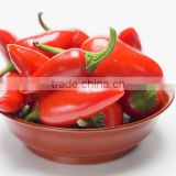 Organic Red Chilli Powder Bulk Suppliers