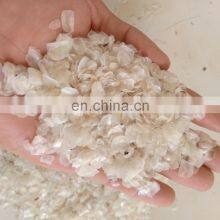 Dried Fish Scale From Vietnam / Fish Scale for Collagen thumbnail-3