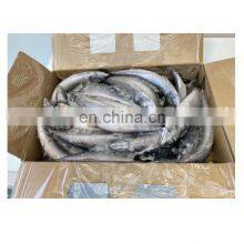 Seafrozen Pacific Mackerel Fish Whole Round BQF 200-400g 400-600g for Market thumbnail-4