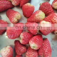 Intelligent Vacuum Freeze Dryer thumbnail-5