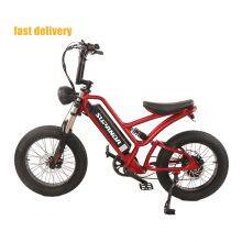 Hot Selling E-bike 20 Inch             Electric Bicycle Wholesale       Wholesale Electric Bicycles