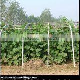 HDPE High Quality Cucumber Yam Support Plant Trellis Net