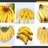 Leader Hot Sale Automatic Banana Peeling Machine Whatsapp:+8618336073732 thumbnail-6