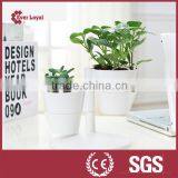Special-design Desktop Flowerpot,receive a Case thumbnail-2
