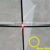 New Design Stealth Delta Kite