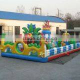 Amusing Big Inflatable Funcity