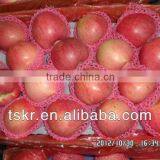 Granny Smith Fuji Apple thumbnail-1