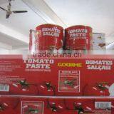 Printing Label Canned Tomato Paste 800gram ~ 3000gram thumbnail-1