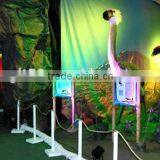 Realistic Animals for Theme Park Ostrich Statue