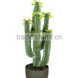 Artificial Cactus 1439