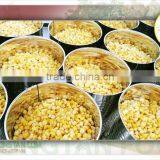 Canned Sweet Corn Kernel - 3000 gr thumbnail-1