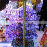 2015 Decorated Live Christmas Trees for Sale thumbnail-4