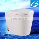 Ceramic WaterMark Invisi Toilet thumbnail-1