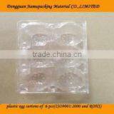 Recyclable 6 Plastic Egg Carton thumbnail-1