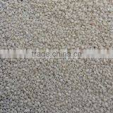 Sesame Seed Auto Dry Sortex Hulled 99.95% thumbnail-2