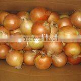 Fresh Onion Prices From Shandong China thumbnail-4