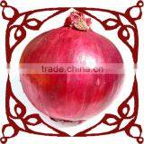 Pakistani Red Phulkara Onion