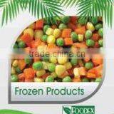 Foodex Company For Import And Export company overview - view 1 thumbnail