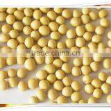 Soy Beans Crop 2014, Non-GMO Soy Beans