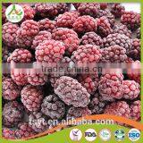 Asian Frozen Vegetables and Fruits Iqf Frozen Blackberry thumbnail-1
