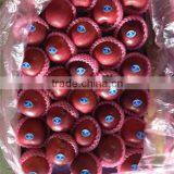 High Quality Red Mature Huaniu Apple Exporter in China thumbnail-6