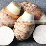 Frozen Taro Whole thumbnail-1