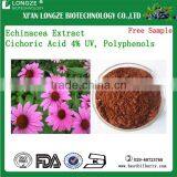 Natural Echinacea Extract Cichoric Acid 4% UV Polyphenols