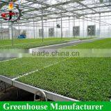 Greenhouse Nursery Seeding Bed