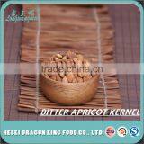 Natural Organic Bitter Apricot Kernels with best quality and best price