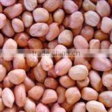 peanut kernels & blanched peanut kernels