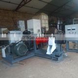 2012 Best seller automatically DGP Series floating fish feed making machine