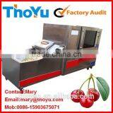 Professional Durable Cherry Pit Removing Machine(SMS: 0086-15903675071) thumbnail-1
