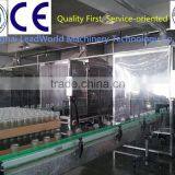 Automatic Clip Type Bottle Washing Machine thumbnail-1