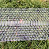 Hydroponic Wheat/barley/rice/paddy Seedling Tray Breeding thumbnail-2