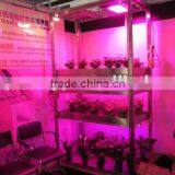Tomato Led Grow Light ,120w Integrated Led Grow Light Tomato Seed for Greenhouse thumbnail-3