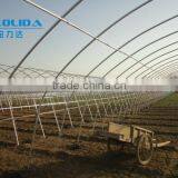 Low Cost Single-span Agricultur Tunnel Greenhouse thumbnail-1