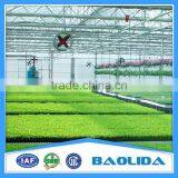 Prefabricated Steel Frame Green House With Plastic Covering thumbnail-4