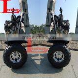 Leadway 6 LED Lights The Tire: 19 Motor Power The Tire:19 Electric Bike Motor Mid Drive 0ff Road( RM09D-T429) thumbnail-1