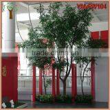 Customized Real Wood Ficus Tree thumbnail-4