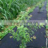 Tree Root Barrier thumbnail-6