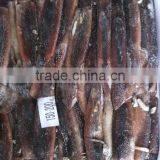 Seafood Squid Illex Squid Frozen Argentinus Squid thumbnail-1