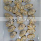 Whole Shell and Whole Cooked Clam in Season for Sale thumbnail-4