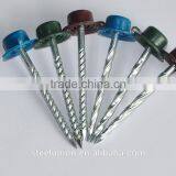 Twisted Nails With Plastic Head thumbnail-2