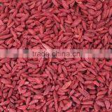 High Quality Organic Herbal Tea Bulk Dried Goji Berry thumbnail-5