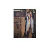 Fish Oil Painting thumbnail-1