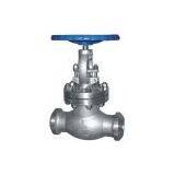 Butt Weld Globe Valve