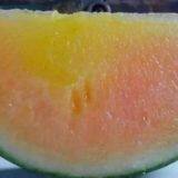 Watermelon F1 Hybrid Sweet Melon Seeds Fruit Seeds No.89 thumbnail-4