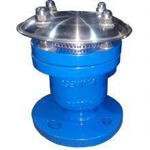 DN50-DN200 Cast Iron Durable Exhaust Valve Air Compressor Bleed Valve